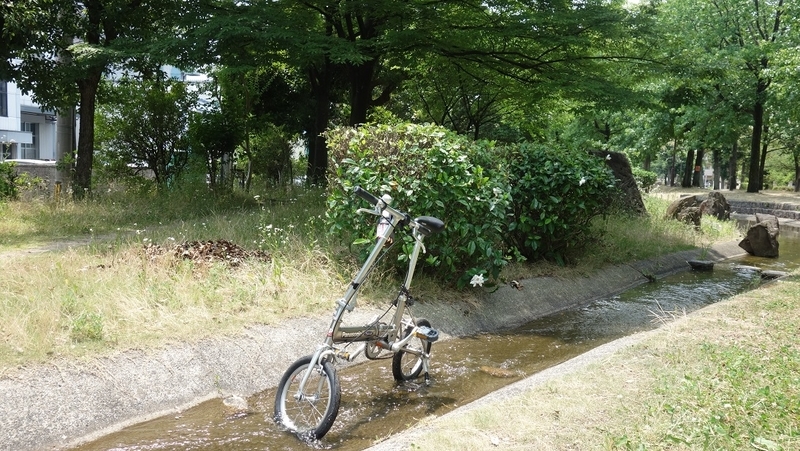 イメージ 3