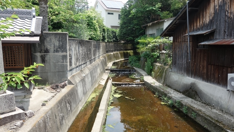 イメージ 5
