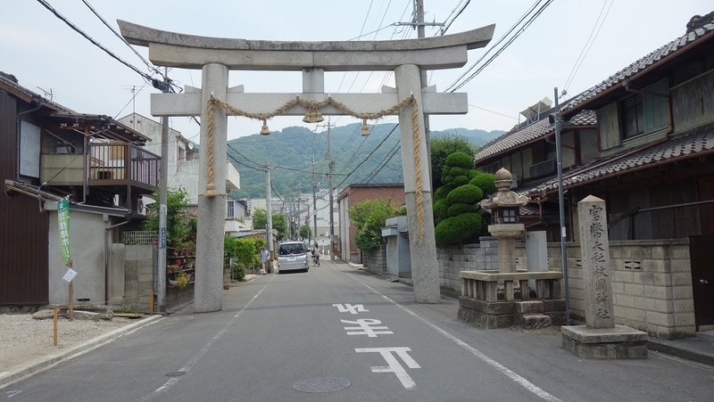イメージ 6