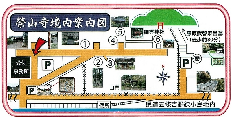 イメージ 7