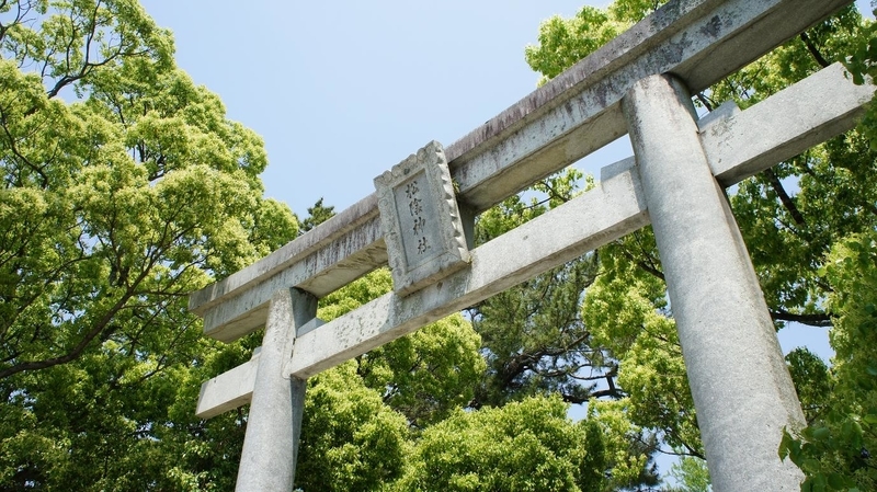 イメージ 5
