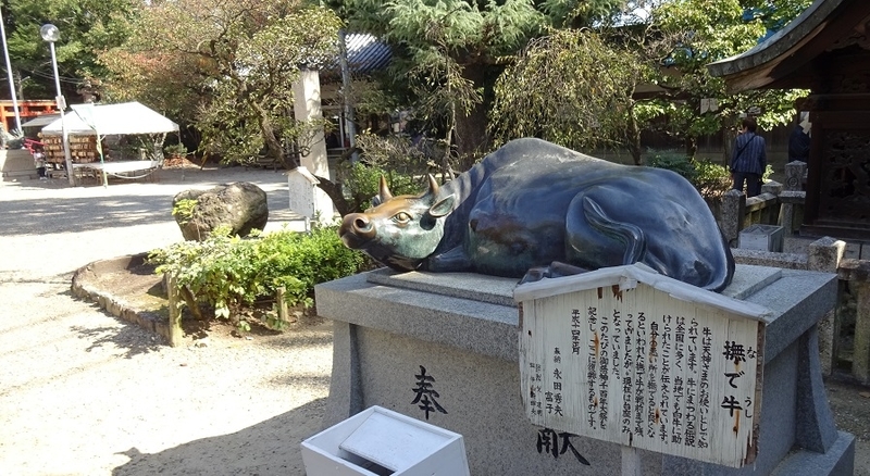 イメージ 5