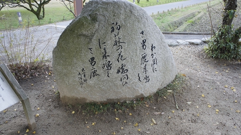 イメージ 7