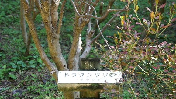 イメージ 6