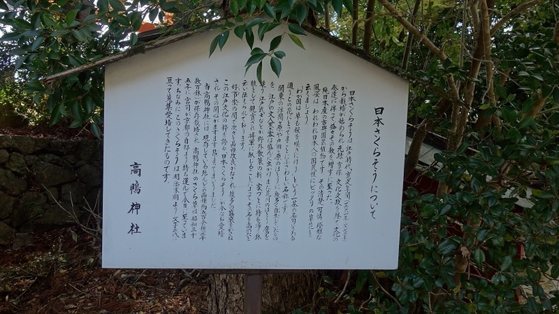 イメージ 12