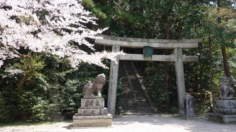 イメージ 5