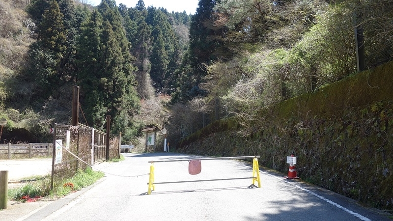 イメージ 8