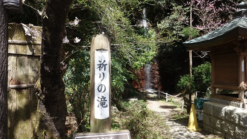 イメージ 10