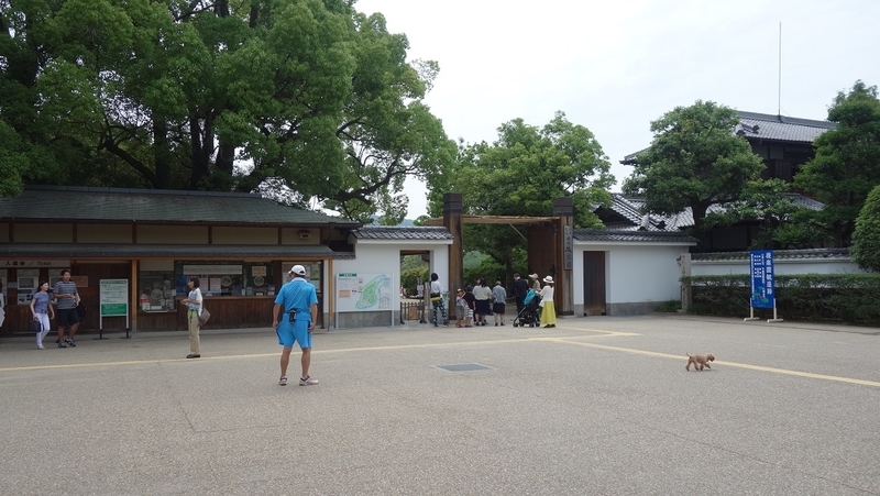 イメージ 6