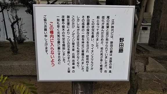 イメージ 7