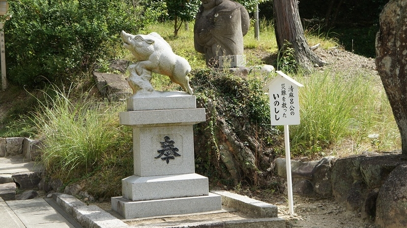 イメージ 5