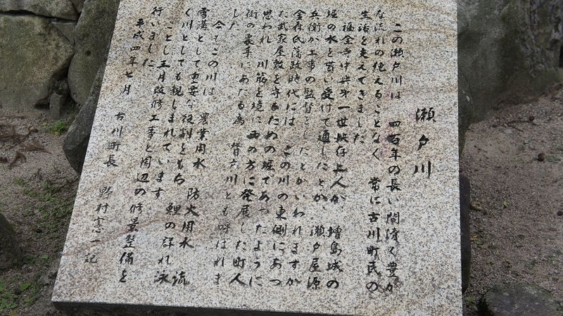 イメージ 5