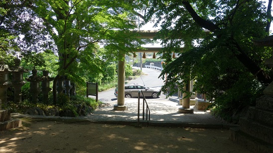 イメージ 2