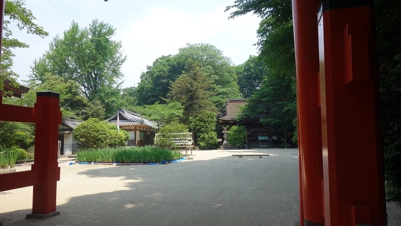 イメージ 3
