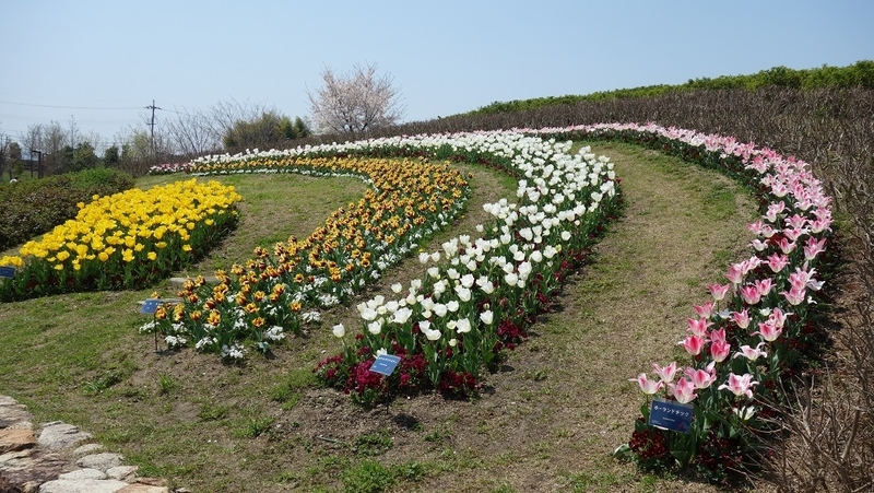 イメージ 4