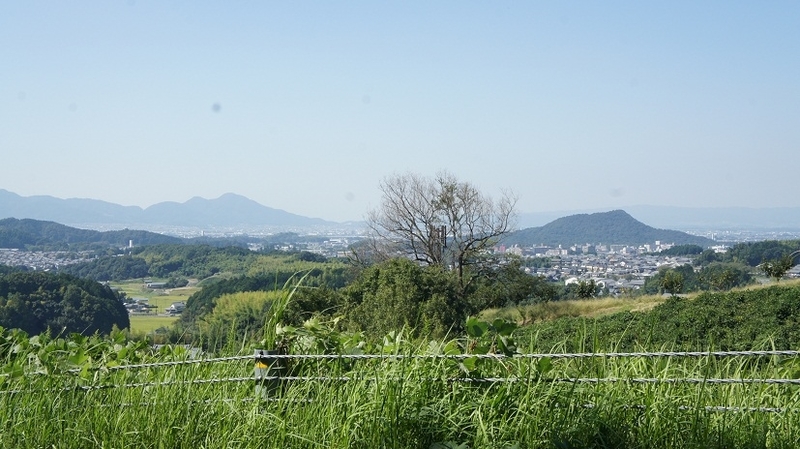 イメージ 6