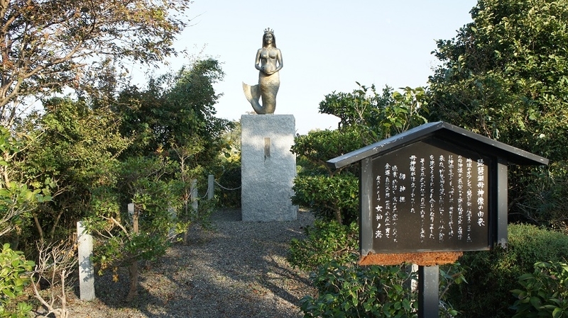 イメージ 5