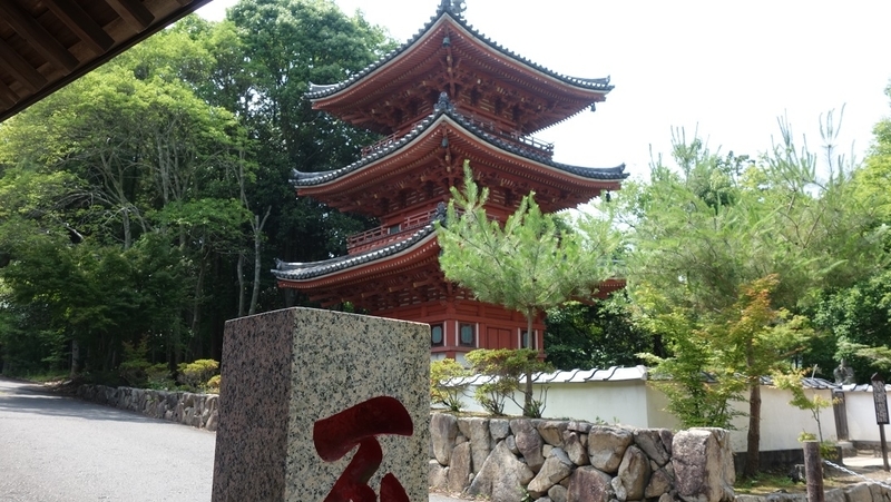 イメージ 5