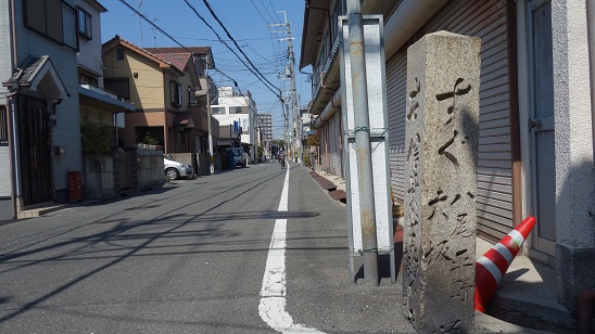 イメージ 5
