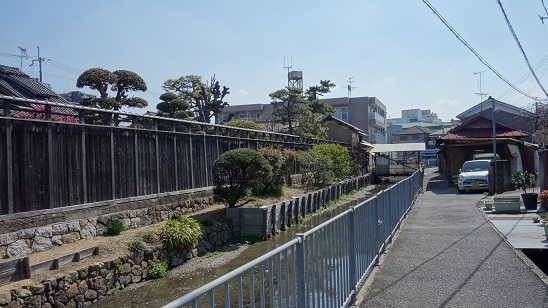イメージ 8