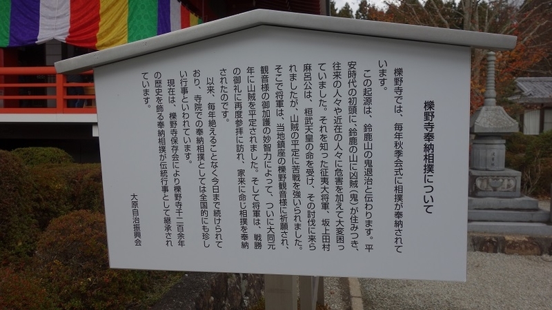 イメージ 7