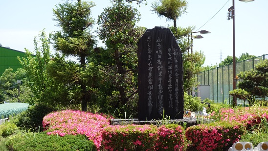 イメージ 4