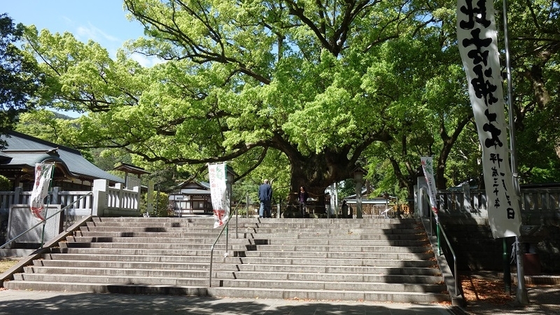 イメージ 11