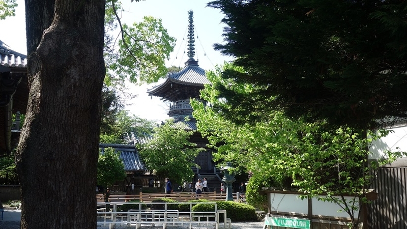 イメージ 14