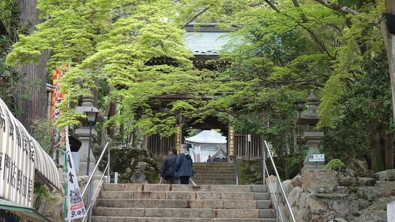 イメージ 10