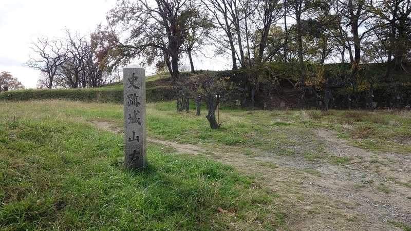 イメージ 4