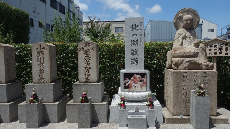 イメージ 7