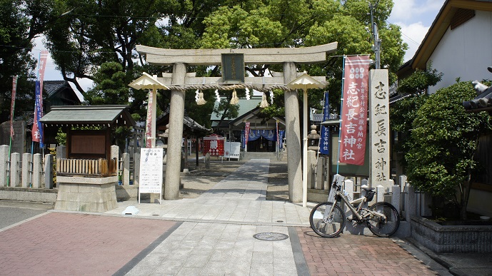イメージ 7