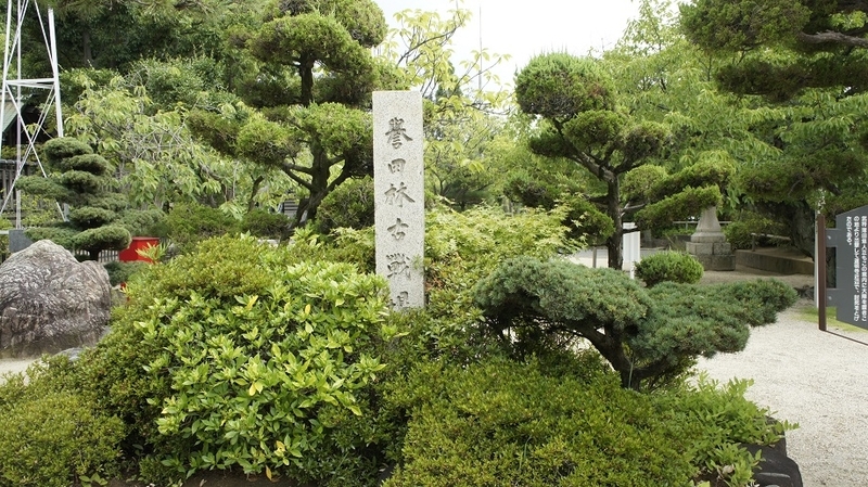 イメージ 3