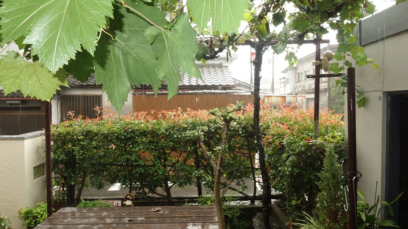 f:id:gourmet_j:20190905164351j:plain