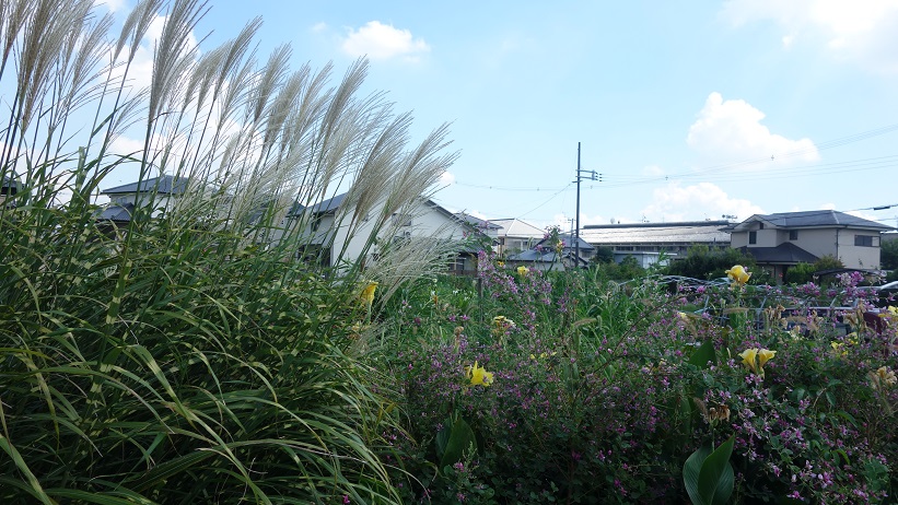 f:id:gourmet_j:20190911184522j:plain