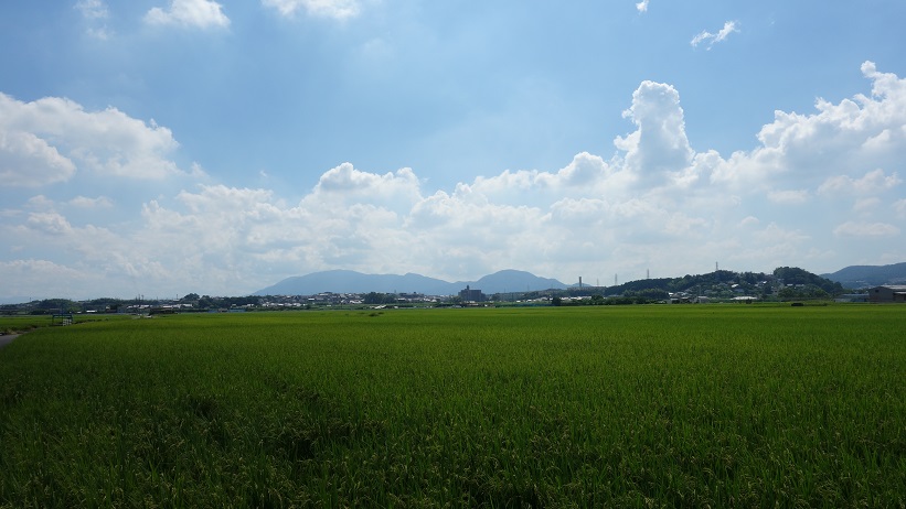 f:id:gourmet_j:20190911185342j:plain