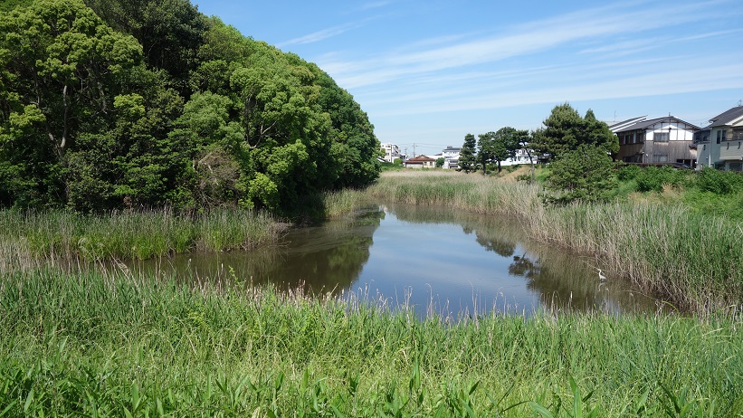 f:id:gourmet_j:20190912111722j:plain