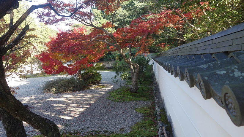 f:id:gourmet_j:20191115212350j:plain