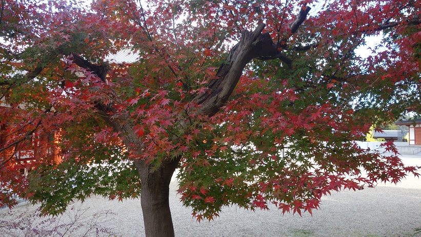 f:id:gourmet_j:20191130113231j:plain