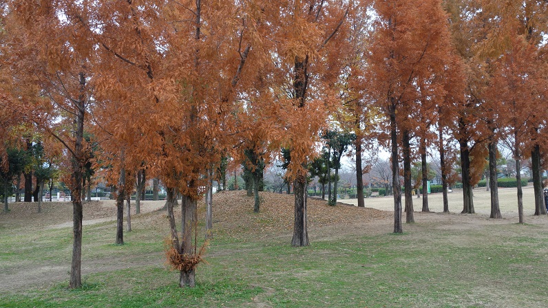 f:id:gourmet_j:20191211180315j:plain