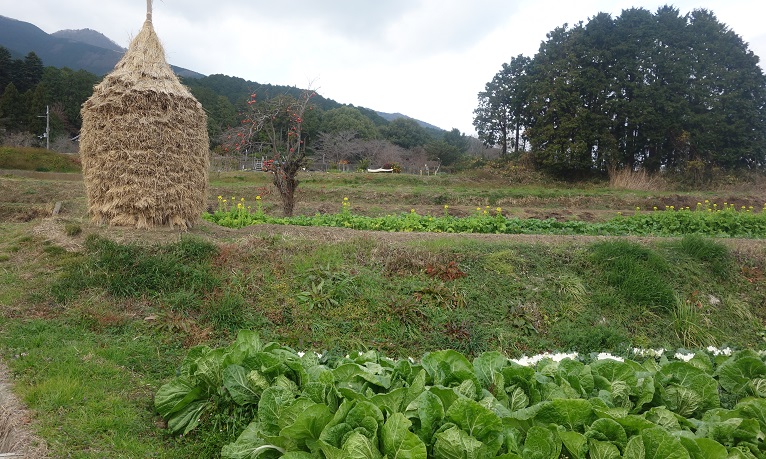 f:id:gourmet_j:20191230132254j:plain