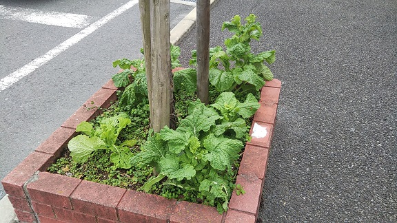 f:id:gourmet_j:20200129103201j:plain