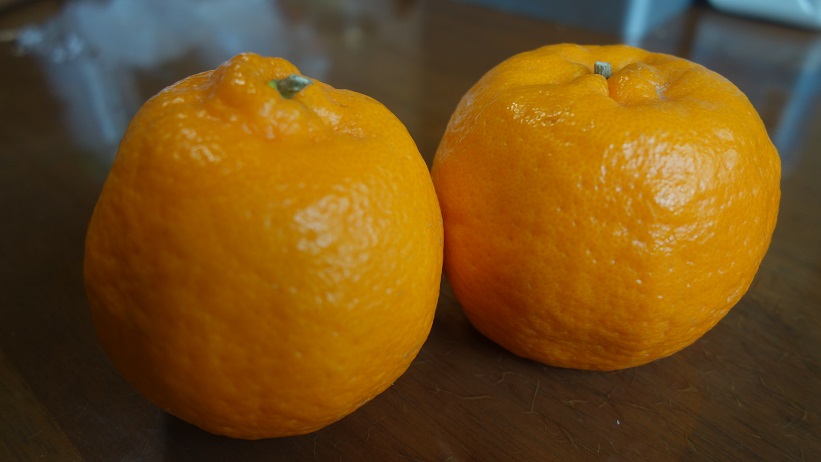 f:id:gourmet_j:20200207104351j:plain