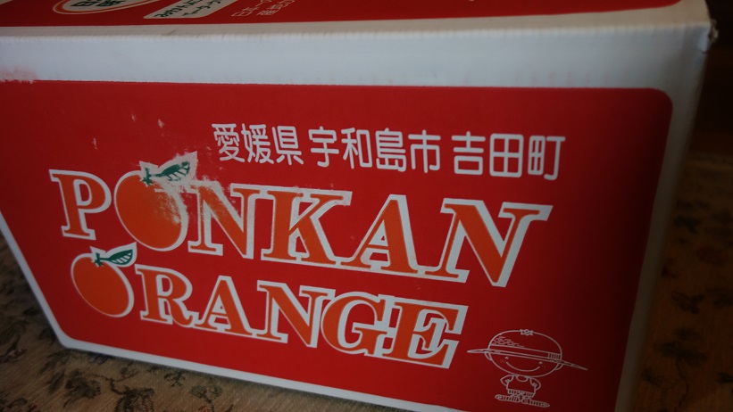 f:id:gourmet_j:20200207104420j:plain