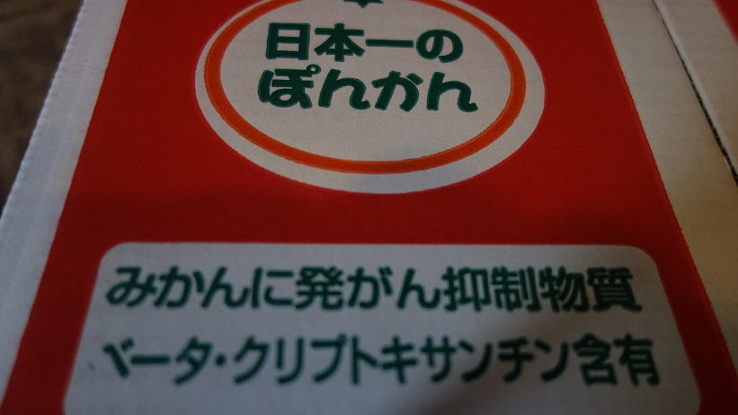 f:id:gourmet_j:20200207104447j:plain