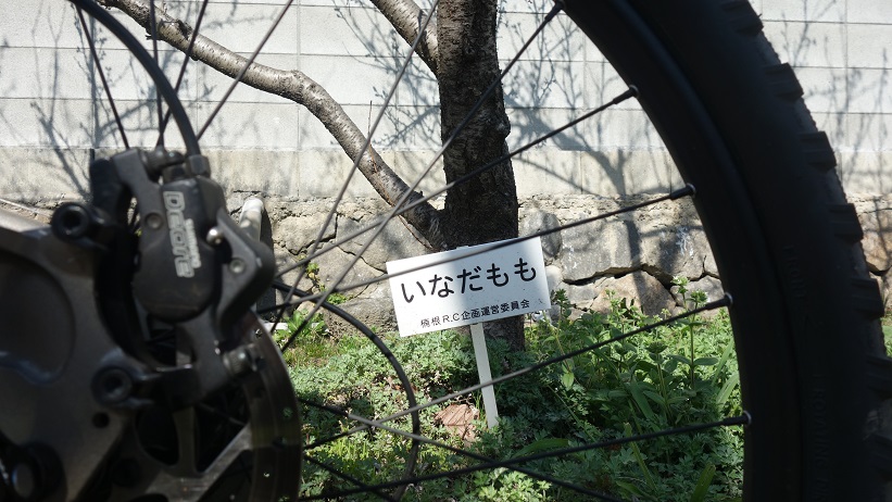f:id:gourmet_j:20200312141202j:plain