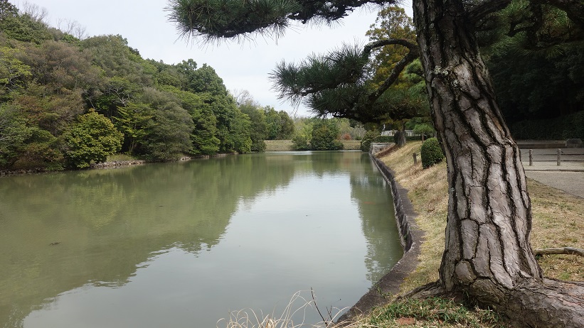 f:id:gourmet_j:20200313135031j:plain