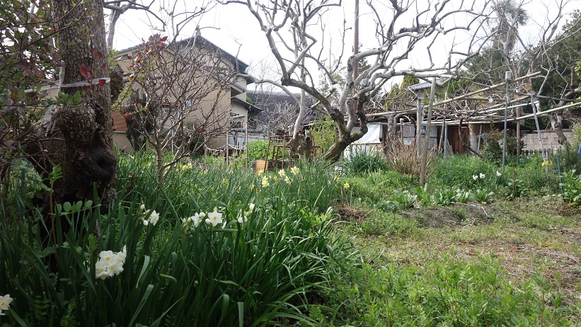 f:id:gourmet_j:20200313144144j:plain