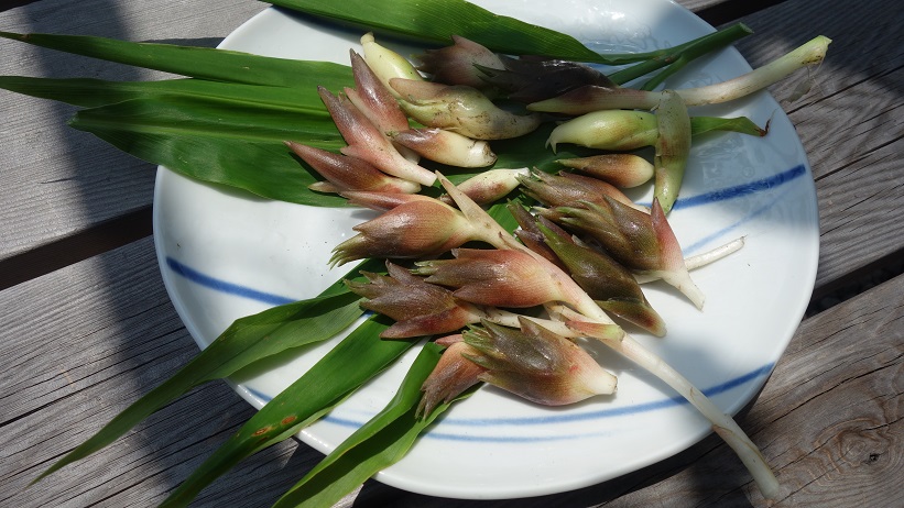 f:id:gourmet_j:20200327123516j:plain