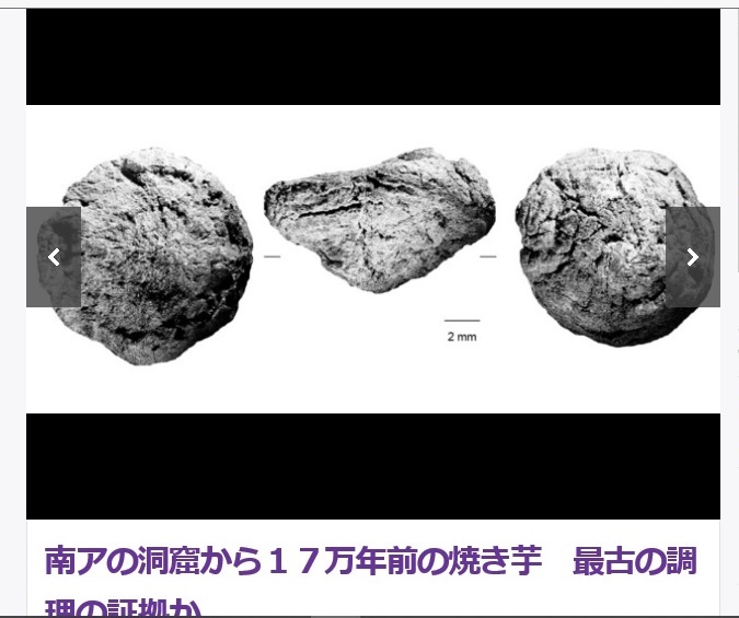 f:id:gourmet_j:20200327124156j:plain